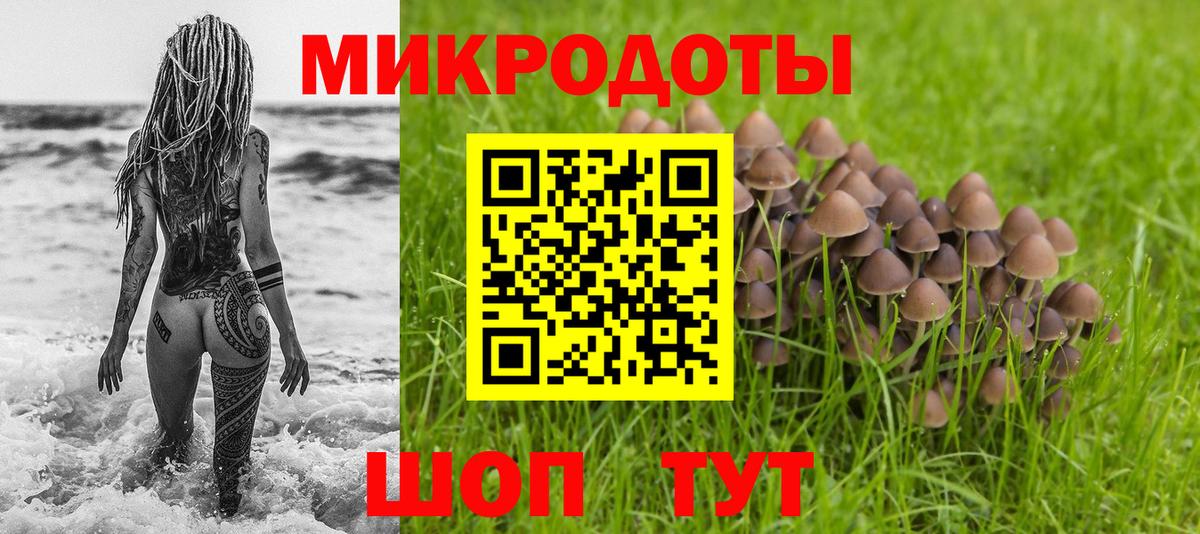 Сосновоборск  Псилоцибиновые грибы мицелий  Вход с VPN 